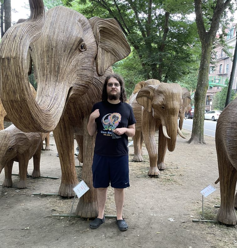 front view of one large wicker elephant (no tusks), which stands about 8 feet tall. Behind and to the side is a smaller elephant with tusks, and to the other side is a much smaller (baby sized) elephant. For scale, there is a young white man with long hair and a beard wearing shorts and a T-shirt standing next to the largest elephant