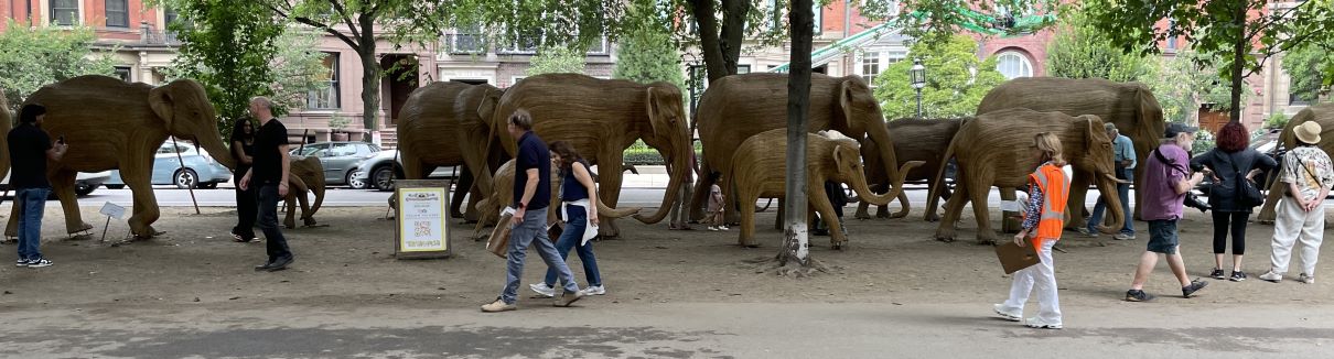 a side view of about 10 elephants of varying sizes and walking poses on a dirt pathway. The elephants are made of a wooden wicker construction so they have striations going along their sides and down their trunks and legs. Cars and buildings in the background; pedestrians in the foreground