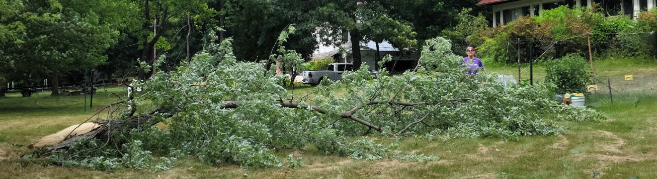 A white woman wearing a purple T-shirt standing in a lawn behind a fallen 25 foot long branch that is about 6 feet high at its tallest. Behind her is a bunch of foliage and they a small white house with a white truck front of it; on one side of her is a fenced area with some vegetable plants and behind that is a house with many windows and a bunch of foliage in front.