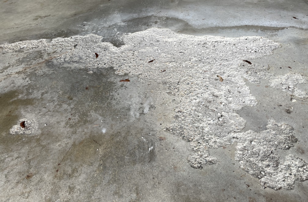 Close-up of a stained gray concrete floor,
			    with a large irregular hole showing in a
			    much lighter color of gray. The shape is a
			    bit like India, wide on the top, narrow on
			    the bottom. And even a little extra hole
			    on the bottom right to be Sri Lanka.