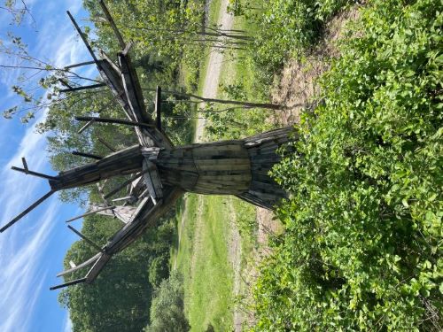 An artificial tree constructed out of wooden planks in amongst some shrubbery.